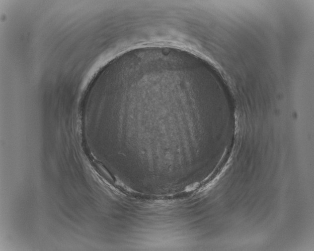 X0000072961506200608041140