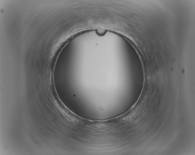 X0000072961507200608041140