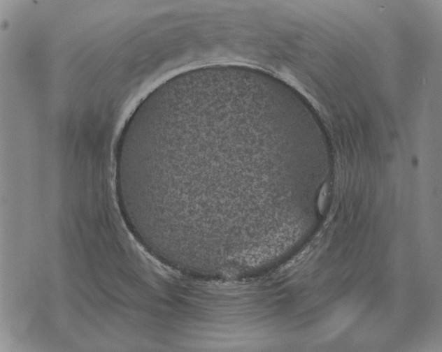 X0000072961508200608041140