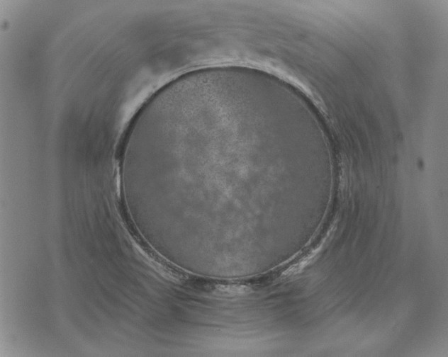 X0000072961509200608041140