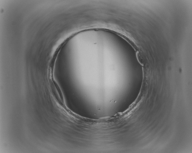 X0000072961510200608041140