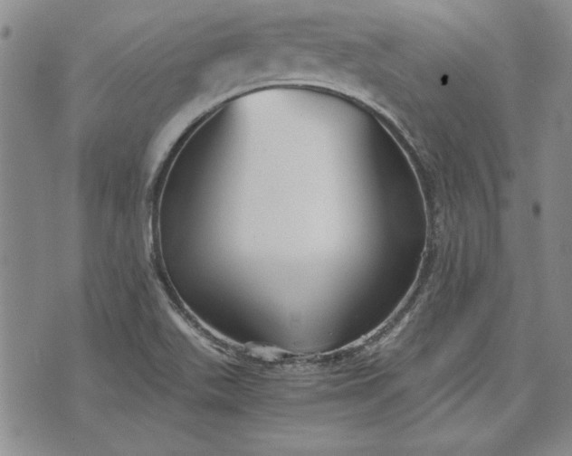 X0000072961511200608041140