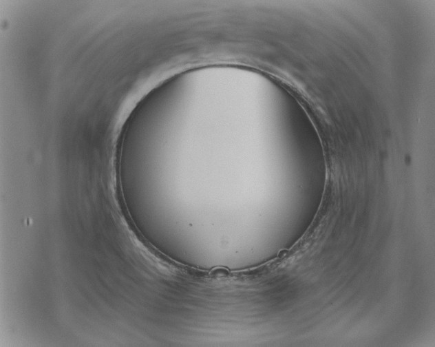 X0000072961512200608041140