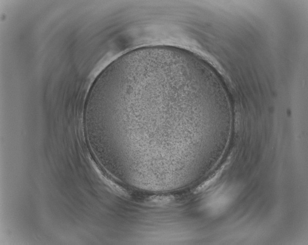 X0000072961513200608041140