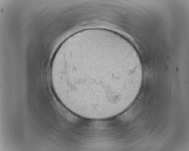 X0000072961514200608041140