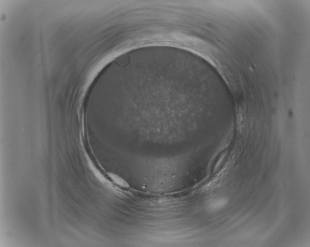 X0000072961515200608041140