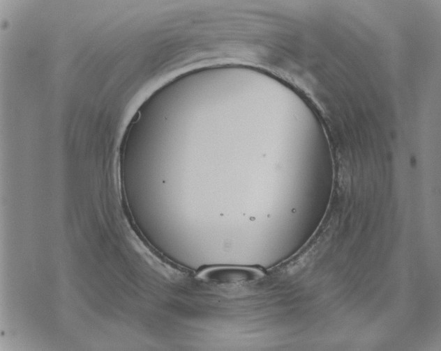 X0000072961516200608041140