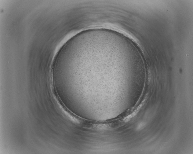 X0000072961517200608041140