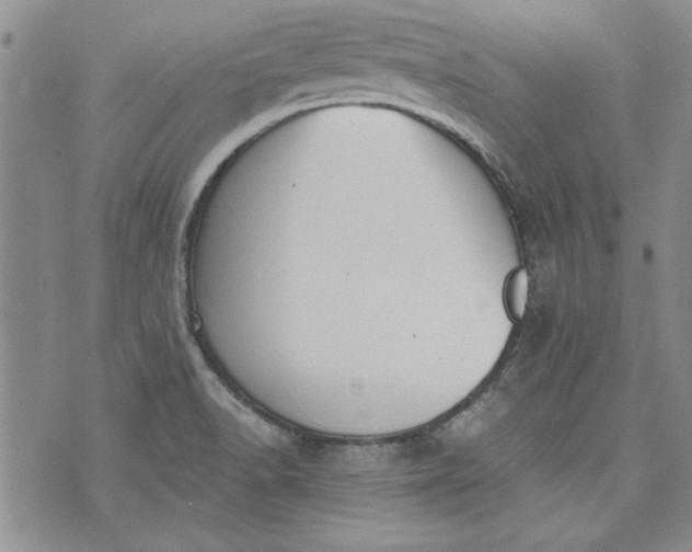 X0000072961518200608041140