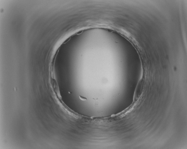 X0000072961520200608041140