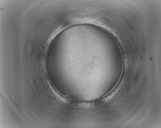 X0000072961521200608041140