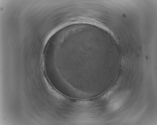 X0000072961522200608041140