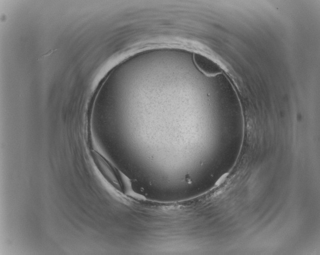 X0000072961523200608041140