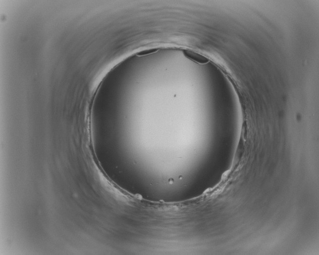 X0000072961524200608041140