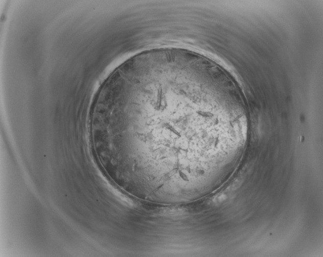 X0000072961525200608041140