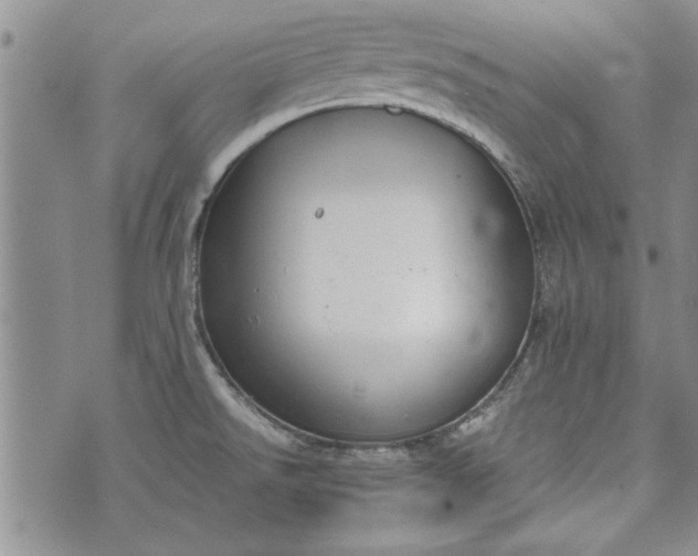 X0000072961526200608041140