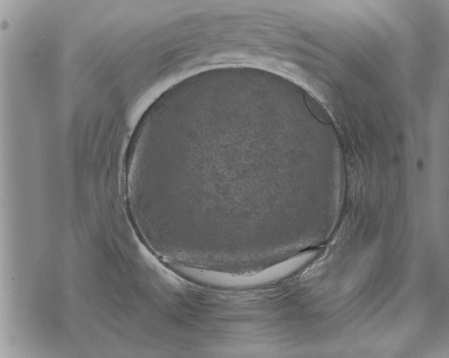 X0000072961527200608041140