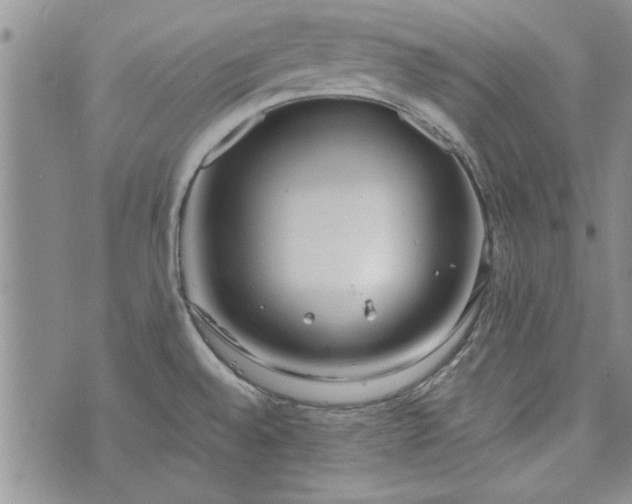 X0000072961528200608041140