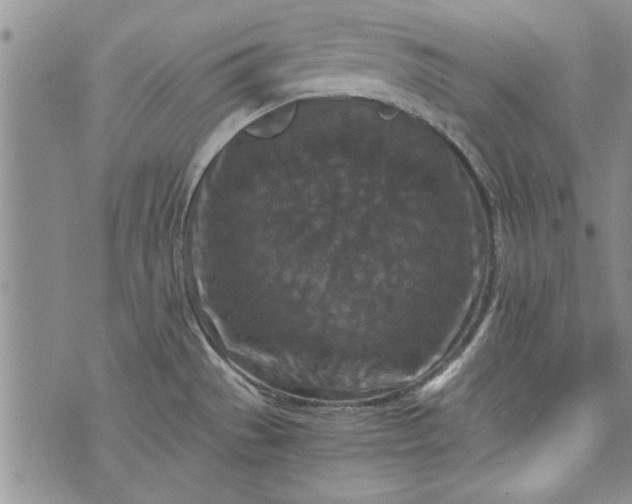 X0000072961529200608041140