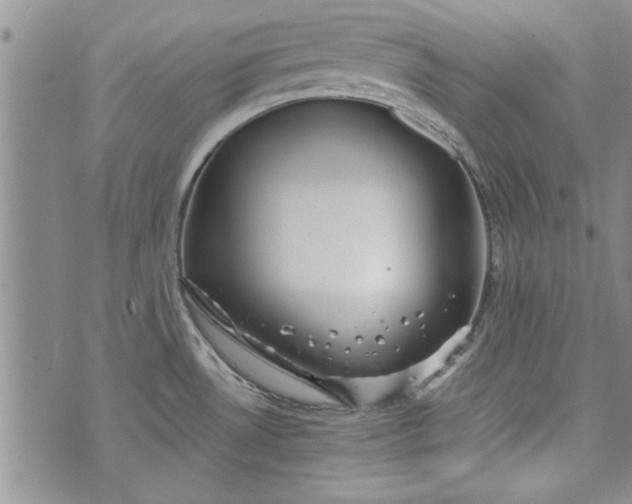 X0000072961530200608041140