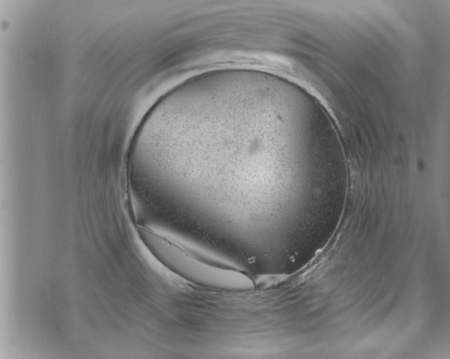 X0000072961531200608041140