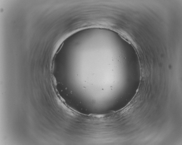 X0000072961532200608041140