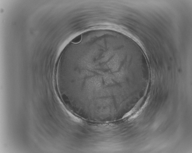 X0000072961533200608041140