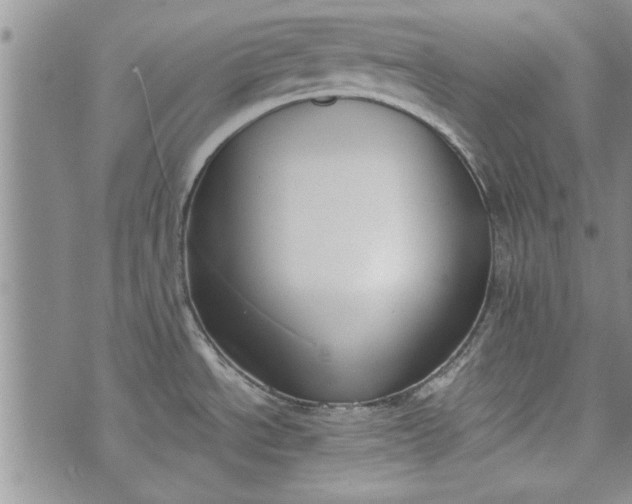 X0000072961534200608041140