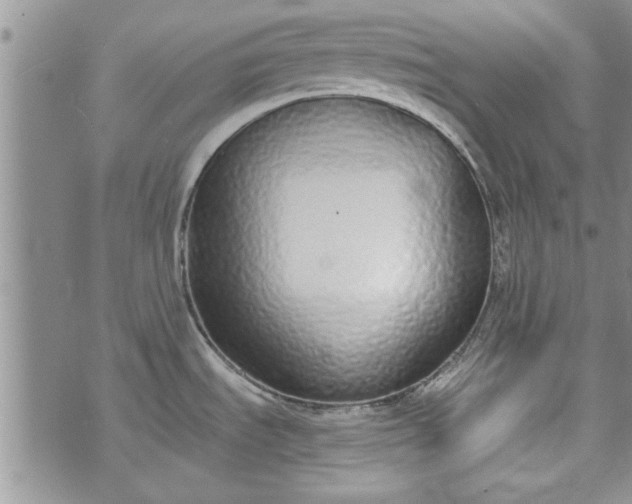 X0000072961535200608041140