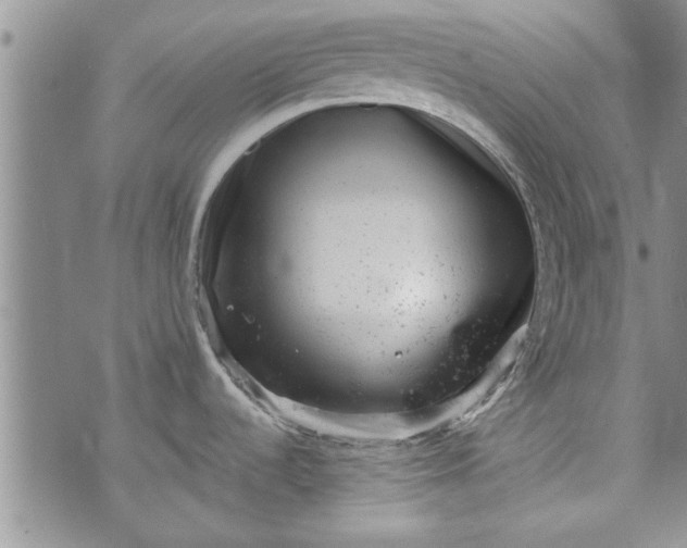 X0000072961536200608041140