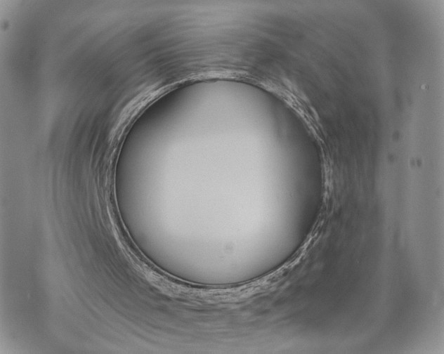 X0000072960001200608111702