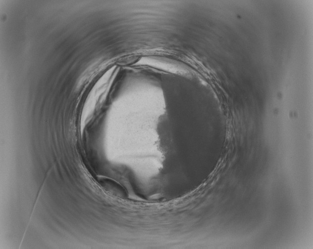 X0000072960002200608111702