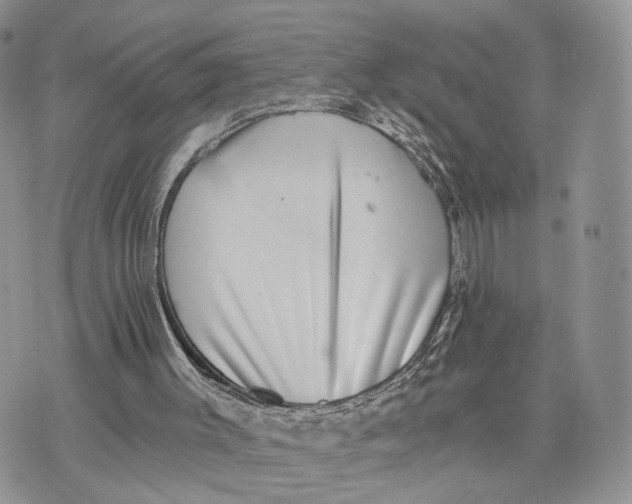 X0000072960003200608111702