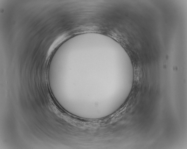 X0000072960004200608111702