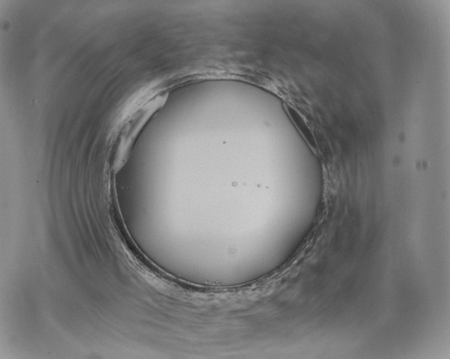 X0000072960005200608111702