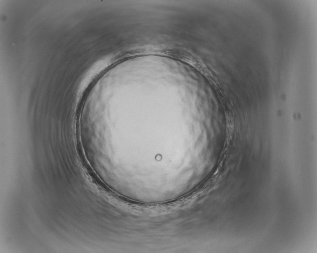 X0000072960006200608111702