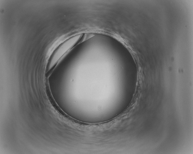 X0000072960007200608111702