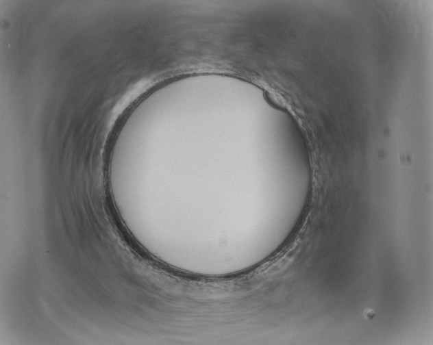 X0000072960008200608111702