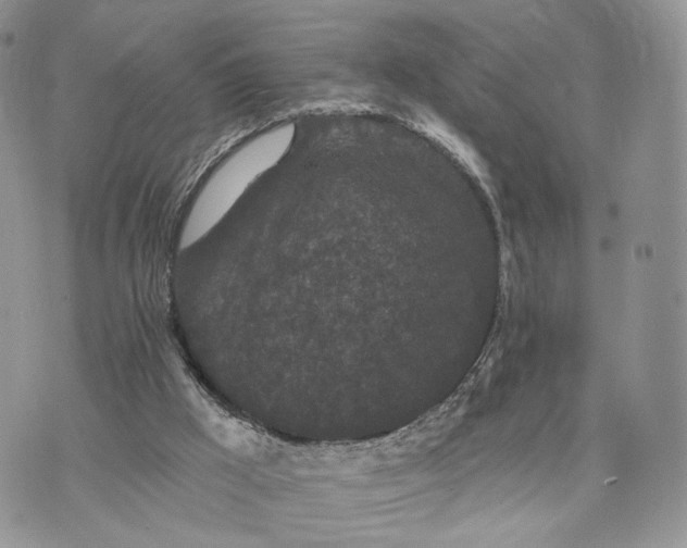 X0000072960009200608111702