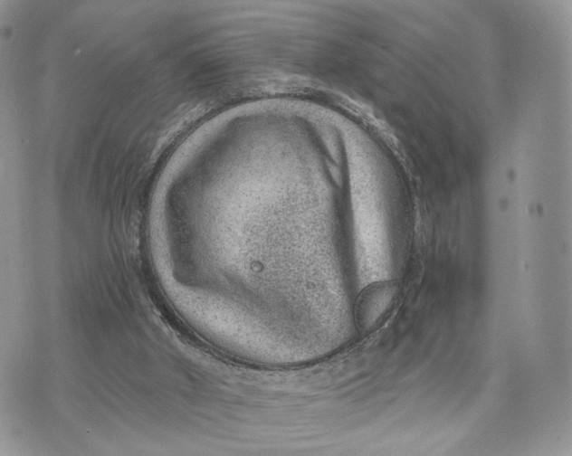 X0000072960010200608111702