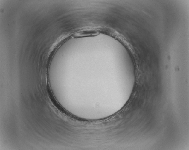 X0000072960011200608111702