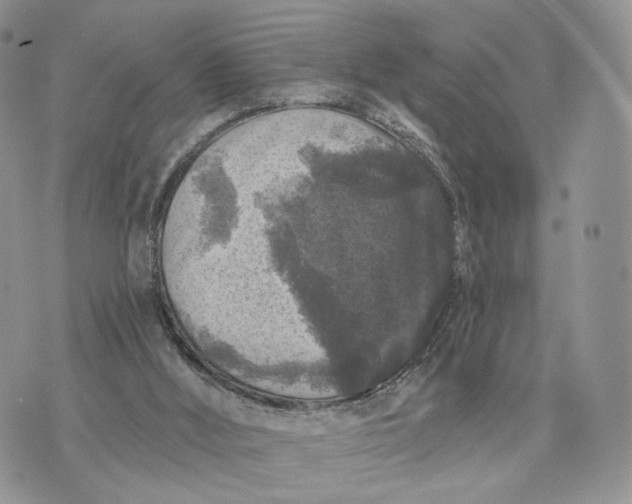 X0000072960012200608111702