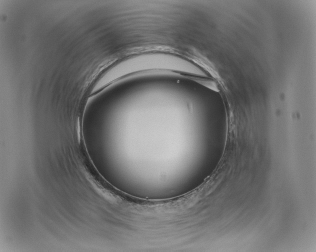 X0000072960013200608111702