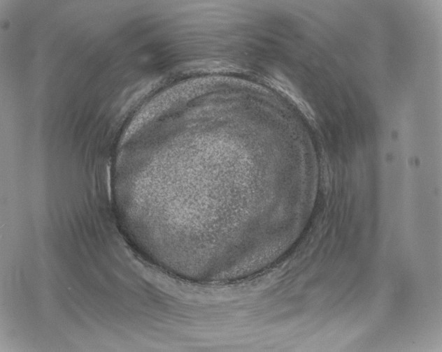 X0000072960014200608111702