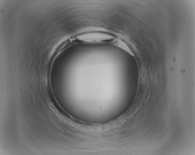 X0000072960015200608111702