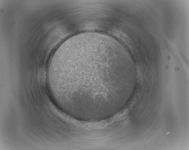 X0000072960016200608111702