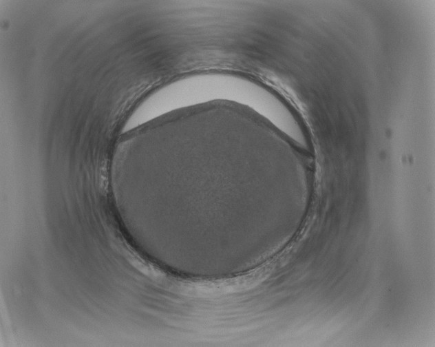 X0000072960017200608111702