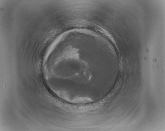 X0000072960018200608111702