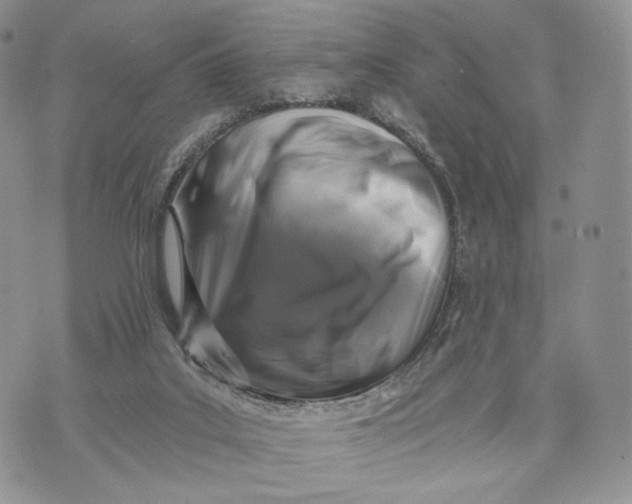 X0000072960019200608111702