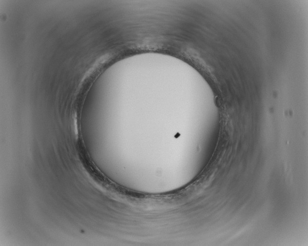 X0000072960020200608111702